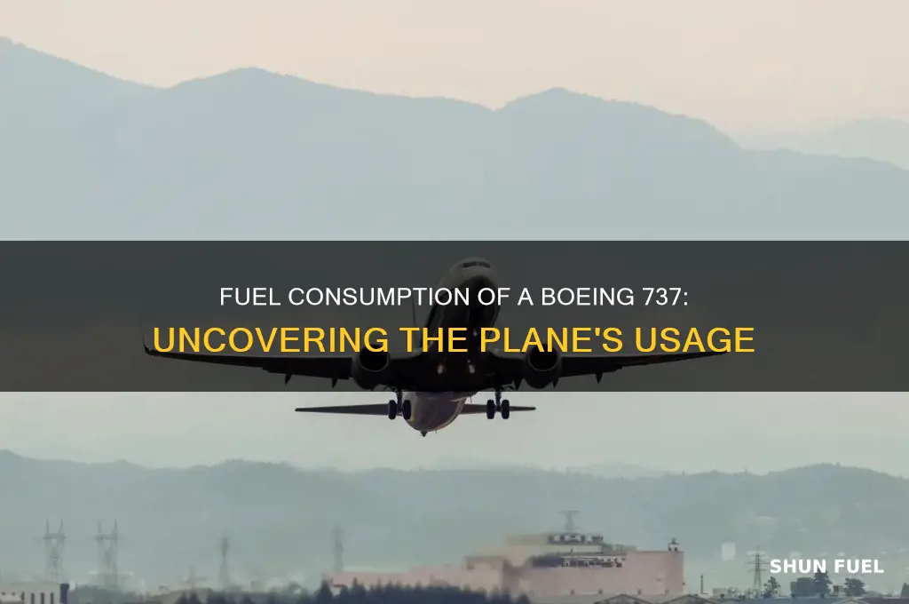 how much fuel does a plane use 737
