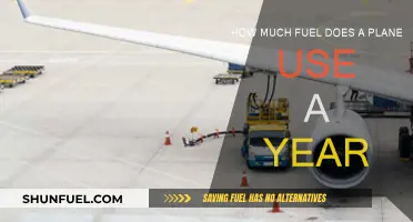 Airplane Fuel Consumption: How Much and Why?