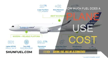 Plane Fuel Efficiency: Cost and Consumption