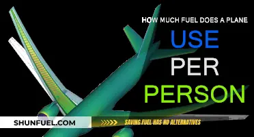 Air Travel: Fuel Efficiency and You