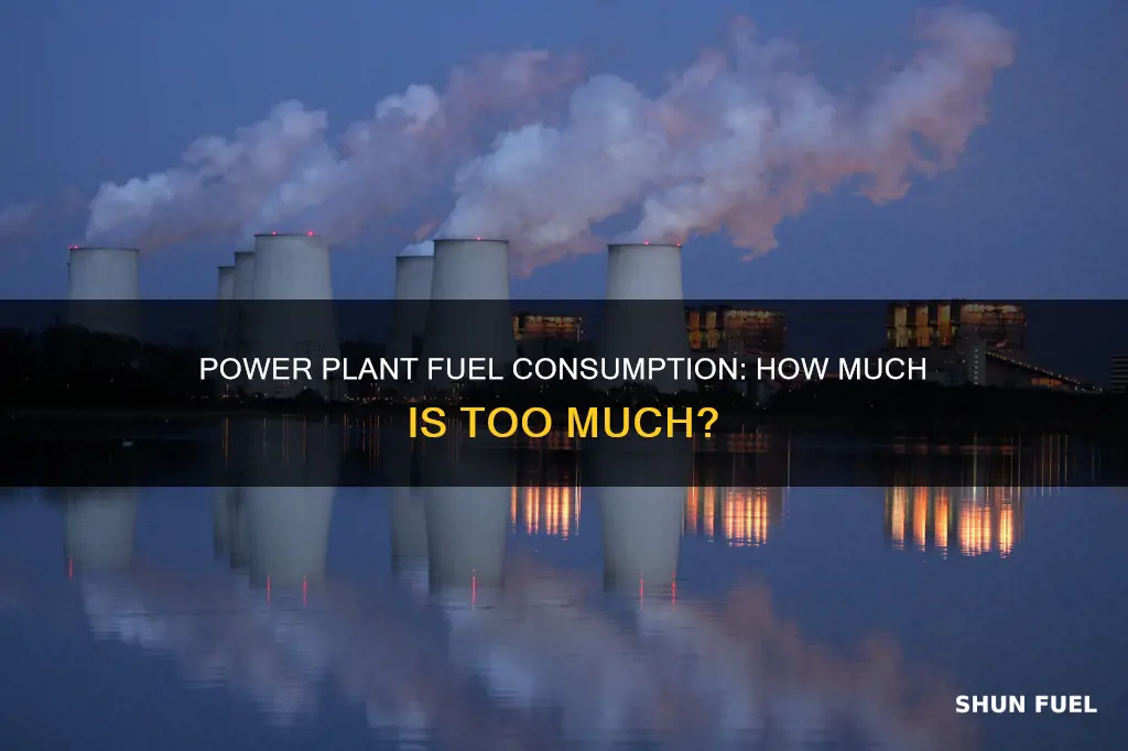 how much fuel does a power plant use