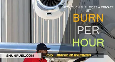 Private Jet Fuel Efficiency: Burning it Hourly