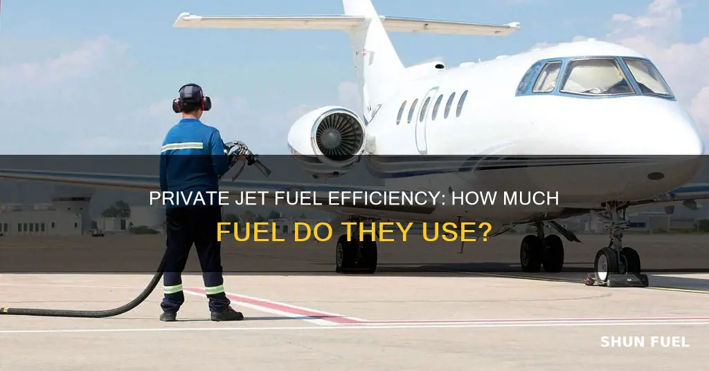 how much fuel does a private plane use