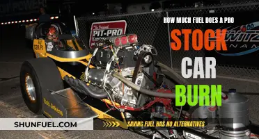 Pro Stock Fuel Burn: High-Octane Power and Efficiency