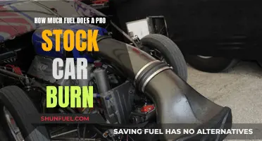 Fuel Consumption of Pro Stock Cars: Burning Questions Answered
