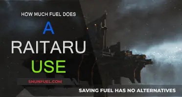 Raitaru Fuel Consumption: How Much Does it Actually Use?