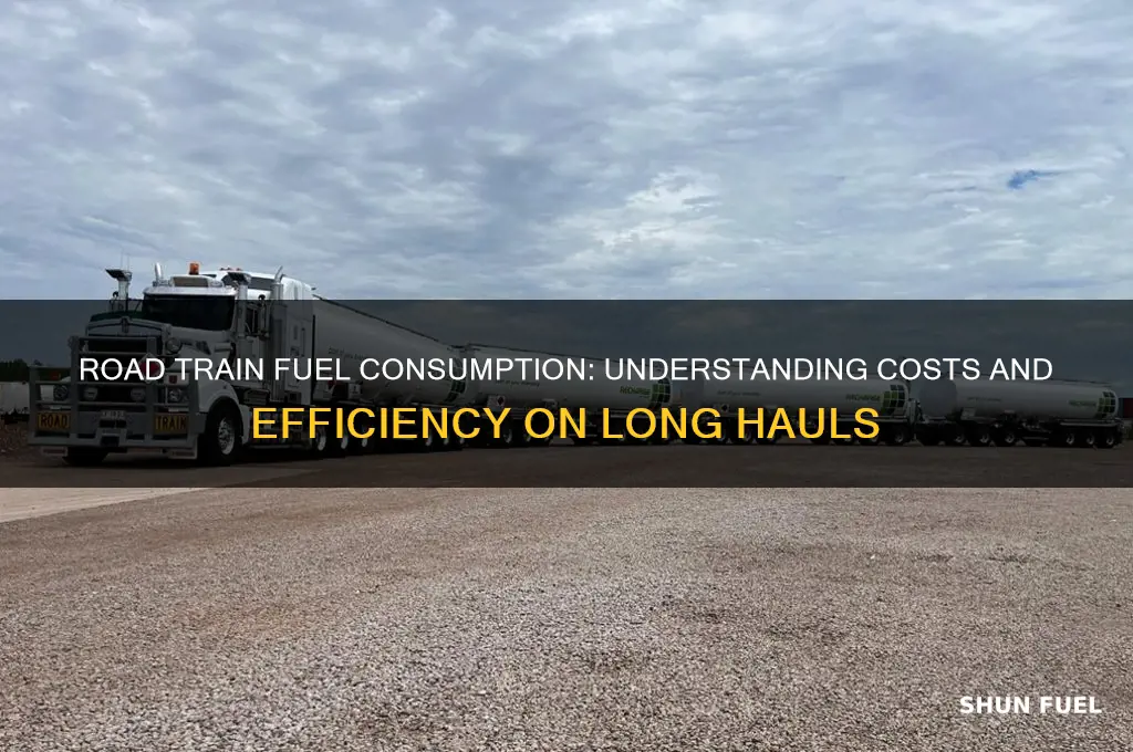 how much fuel does a road train use