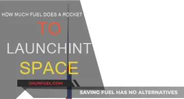 Fuel for Space: How Much Do Rockets Need?