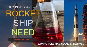 Rocket Fuel: How Much is Enough?
