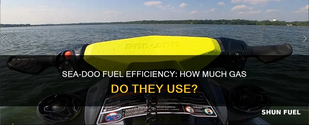 how much fuel does a sea doo use