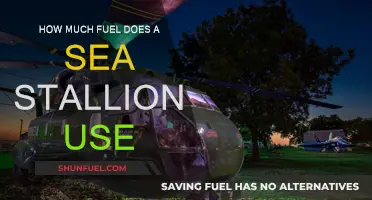 Sea Stallion Fuel Efficiency: How Much Does It Guzzle?