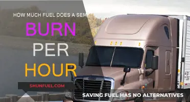 Fuel Consumption of Semis: Burning by the Hour