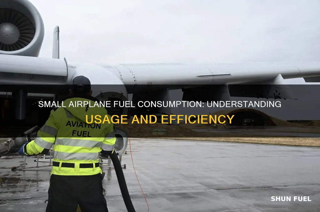 how much fuel does a small airplane use