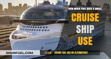 Small Cruise Ship Fuel Consumption: Costs, Efficiency, and Environmental Impact