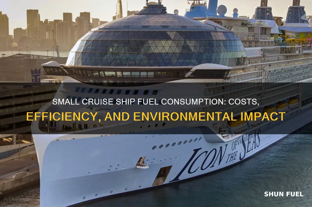 how much fuel does a small cruise ship use