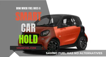 Smart Car Fuel Capacity: Unlocking the Mystery