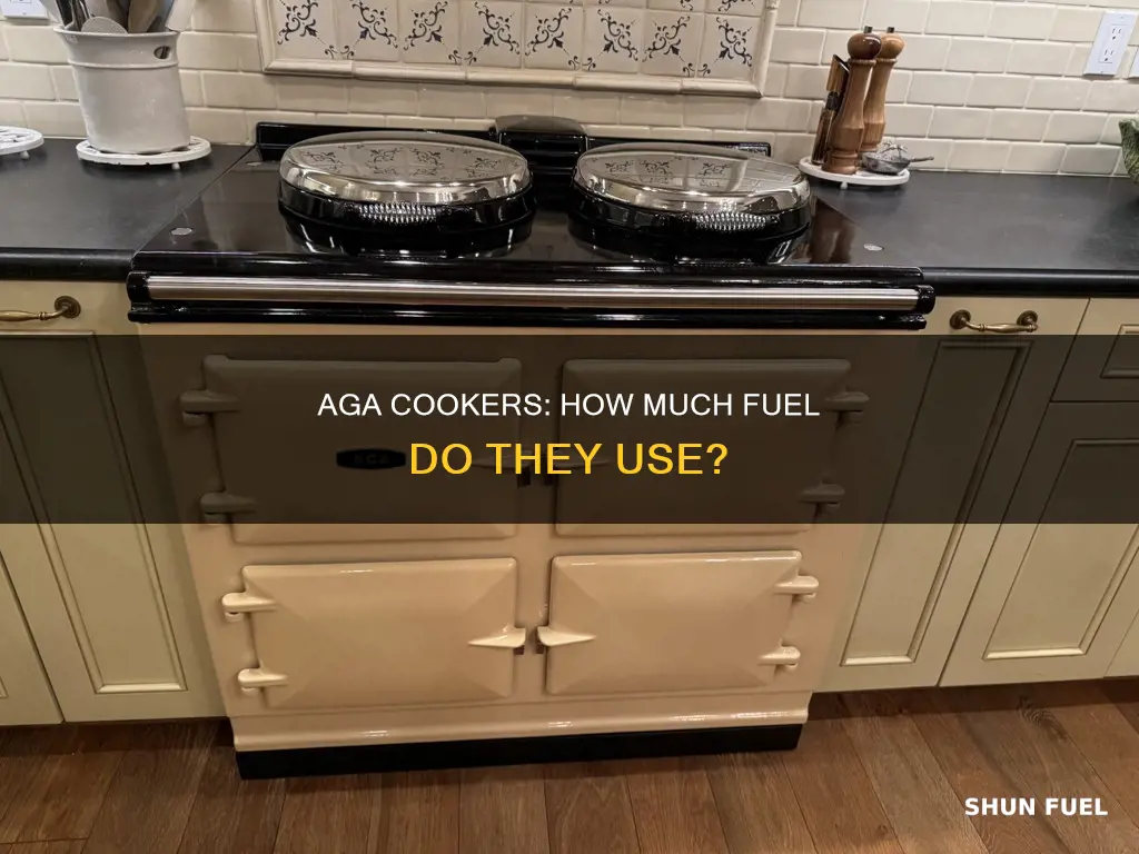 how much fuel does a solid fuel aga use