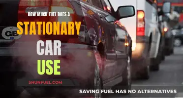 Fuel Consumption in Stationary Cars: How Much is Too Much?
