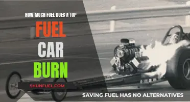 Exploring Top Fuel's Thirst: How Much Gas Do These Machines Burn?