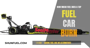 Top Fuel Cars: Burning Fuel at an Astonishing Rate