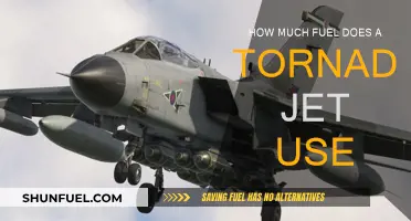 Tornado Jet Fuel Consumption: How Much Is Enough?