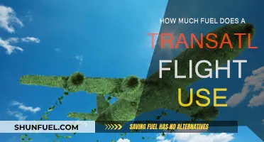 Transatlantic Flights: Fuel Consumption and Environmental Impact