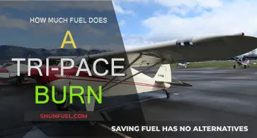 Tri-Pacer Fuel Efficiency: Burning Less, Flying More