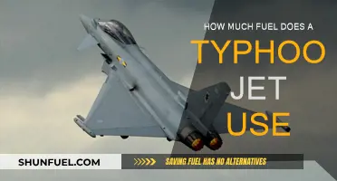 Typhoon Jet Fuel Consumption: How Much Do They Guzzle?
