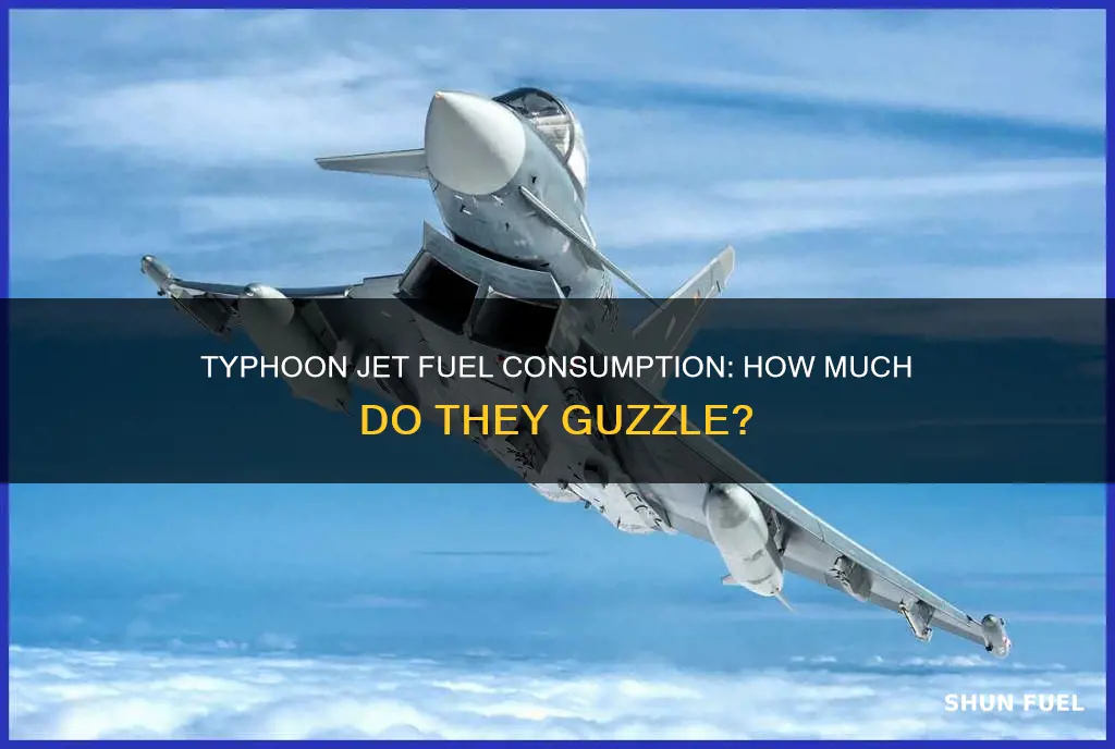 how much fuel does a typhoon jet use