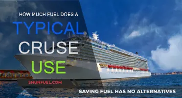 Cruise Ships: Fuel Consumption and Environmental Impact