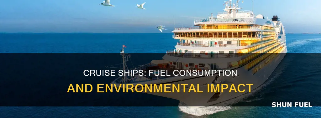 how much fuel does a typical cruse use