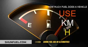 Fuel Efficiency: Understanding Your Vehicle's Consumption