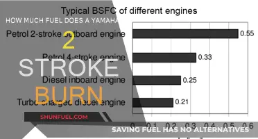 Yamaha 115 2-Stroke: Fuel Consumption and Efficiency