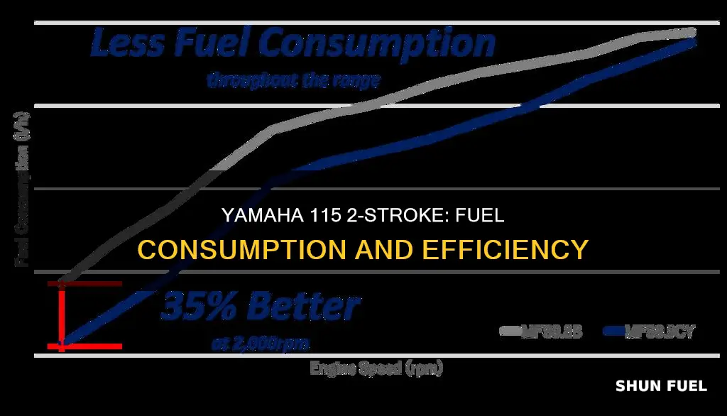 how much fuel does a yamaha 115 2 stroke burn