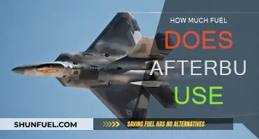 Afterburner Fuel Consumption: How Much is Too Much?
