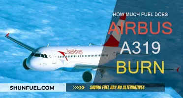 Airbus A319 Fuel Efficiency: Burning Questions Answered