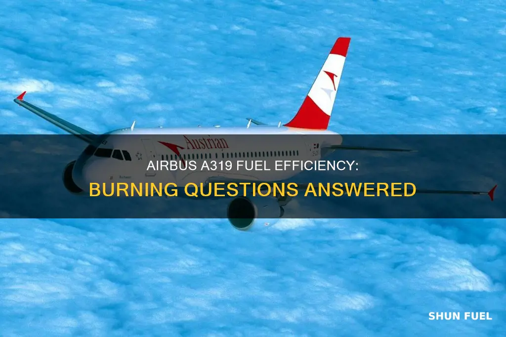 how much fuel does airbus a319 burn
