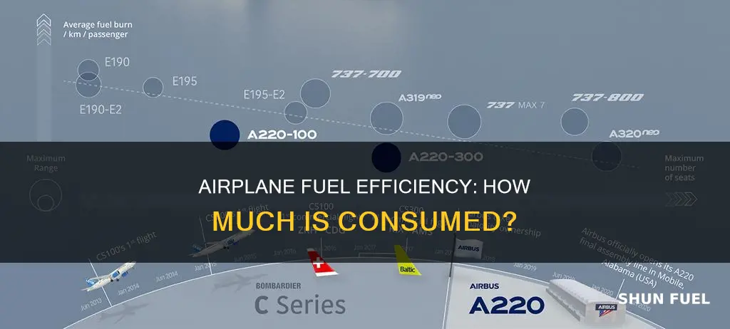 how much fuel does airplane use