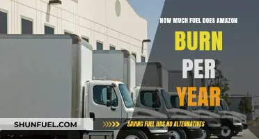 Amazon's Fuel Consumption: Burning a Hole in the Planet