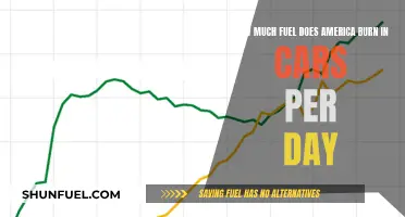 America's Daily Fuel Burn: A Car-Powered Nation's Energy Bill