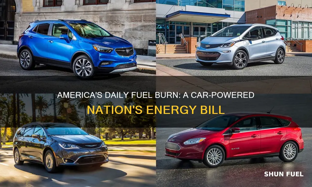 how much fuel does america burn in cars per day