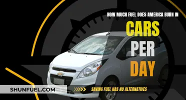 America's Daily Car Fuel Consumption: Burning Statistics