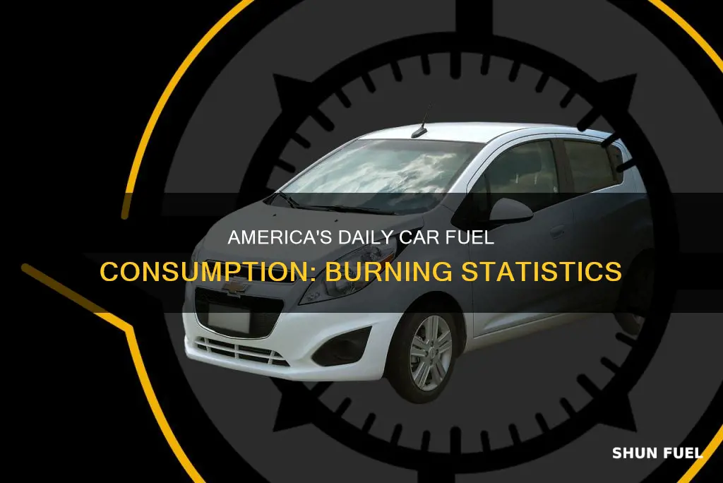 how much fuel does america burn in cars per day