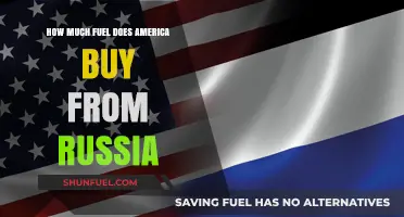 America's Russian Fuel Imports: How Much and Why?