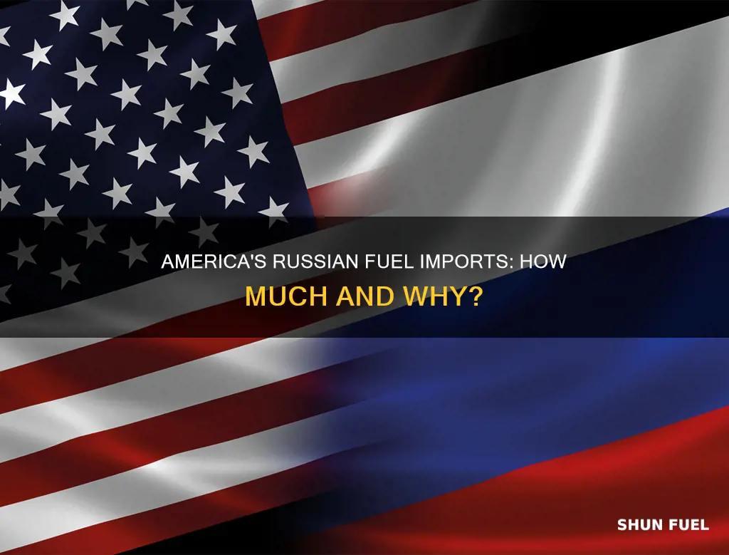 how much fuel does america buy from russia