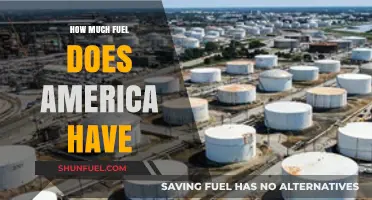 America's Fuel Reserves: How Much is Enough?