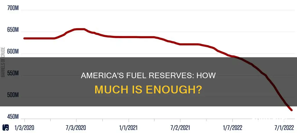 how much fuel does america have