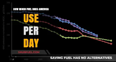 America's Daily Fuel Consumption: A Huge Appetite