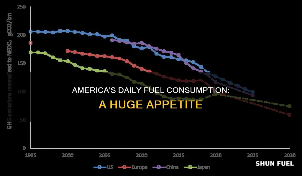 how much fuel does america use per day