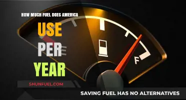 America's Annual Fuel Consumption: A Startling Overview